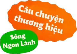 bbg banner element2