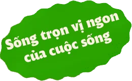 bbg banner3 badge